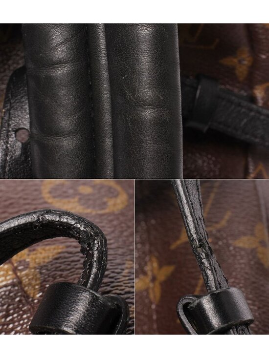 Louis Vuitton Backpack Palm Springs MM Monogram main image 8